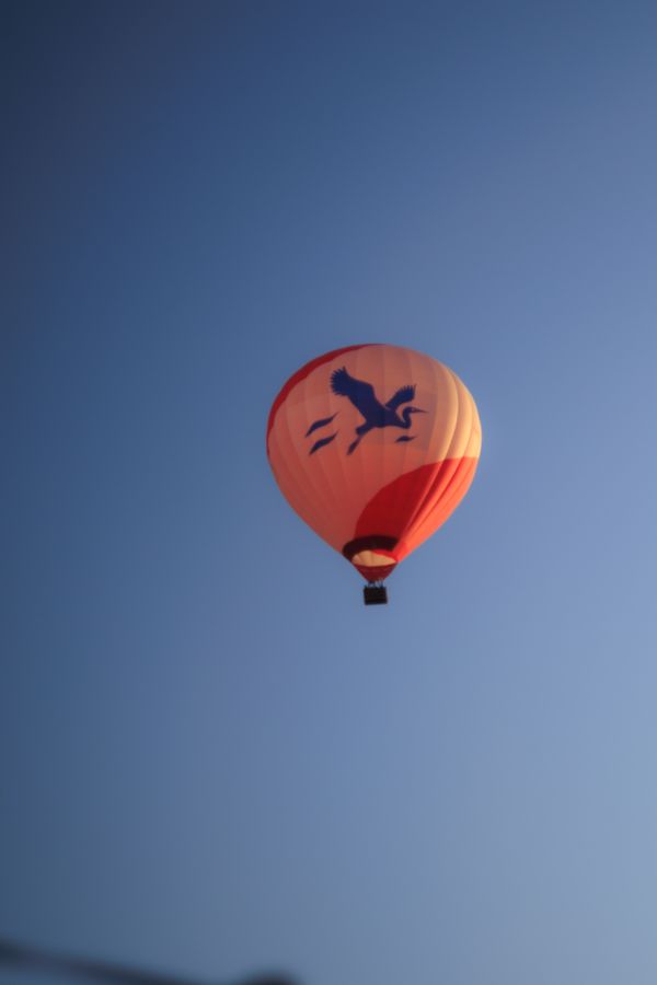 Montgolfière dans le ciel